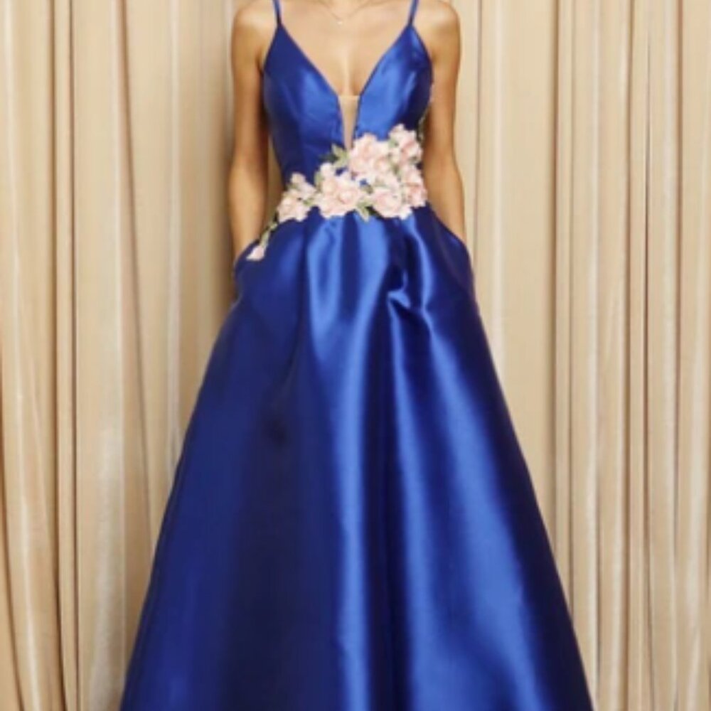 Floral Waist Detail Ball Gown Dress